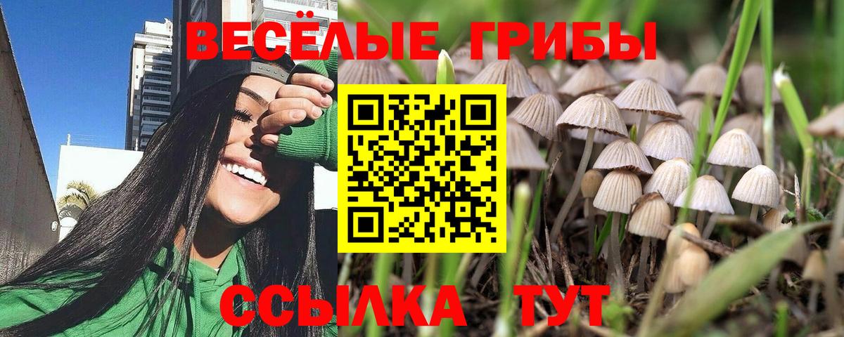 Серов  наркошоп  Галлюциногенные грибы GOLDEN TEACHER  Вход с VPN  Псилоцибиновые грибы Magic Shrooms 